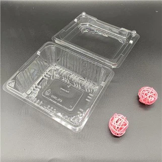 Plastic Clamshell Packaging